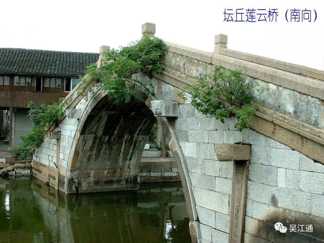 7、莲云桥近景(陈志强提供).JPG